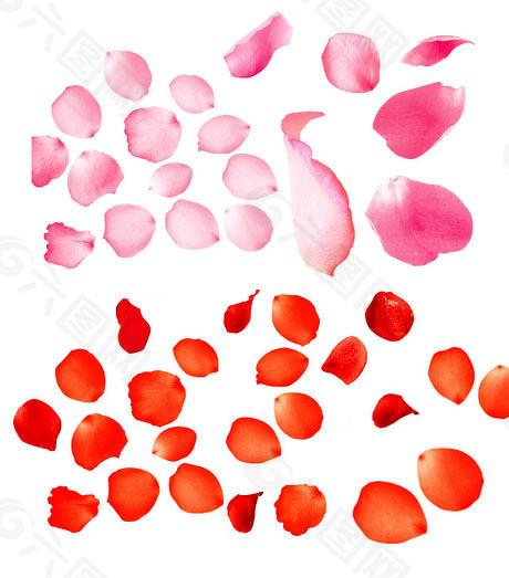 网上配资114 主力资金现“一日游”迹象，券商预判A股短期或震荡上行