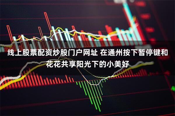 线上股票配资炒股门户网址 在通州按下暂停键和花花共享阳光下的小美好